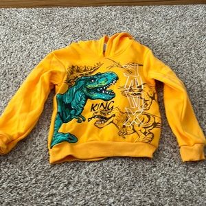 Dinosaur sweatshirt